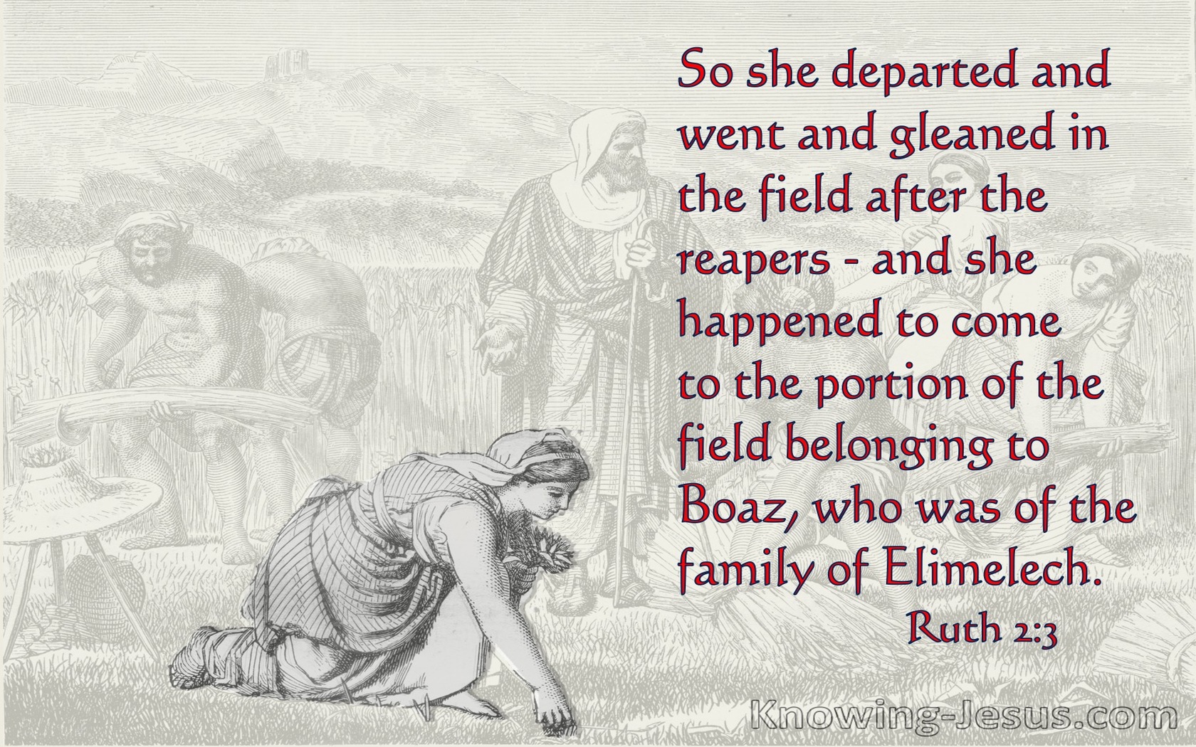 Ruth 2:3  Ruth Departed And Gleaned In The Field (red)